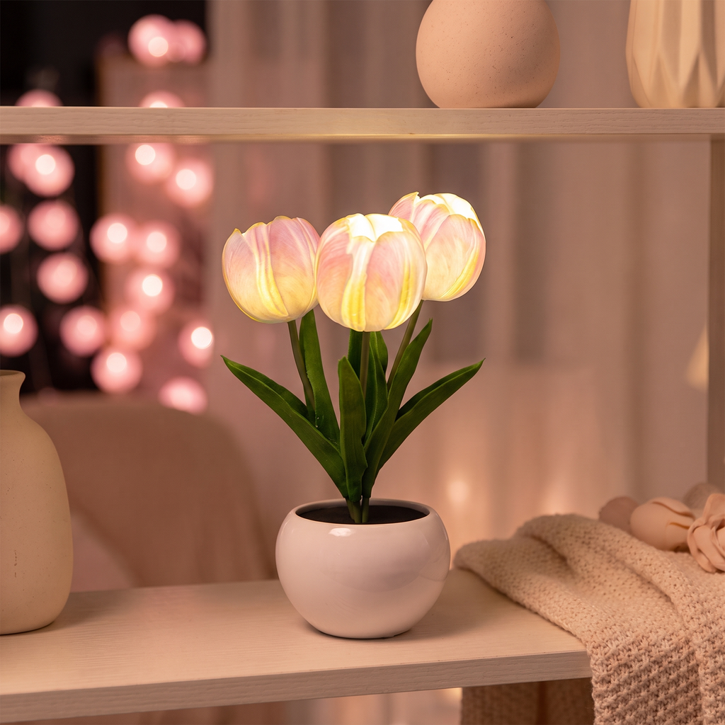Tulip night light on a shelf at night