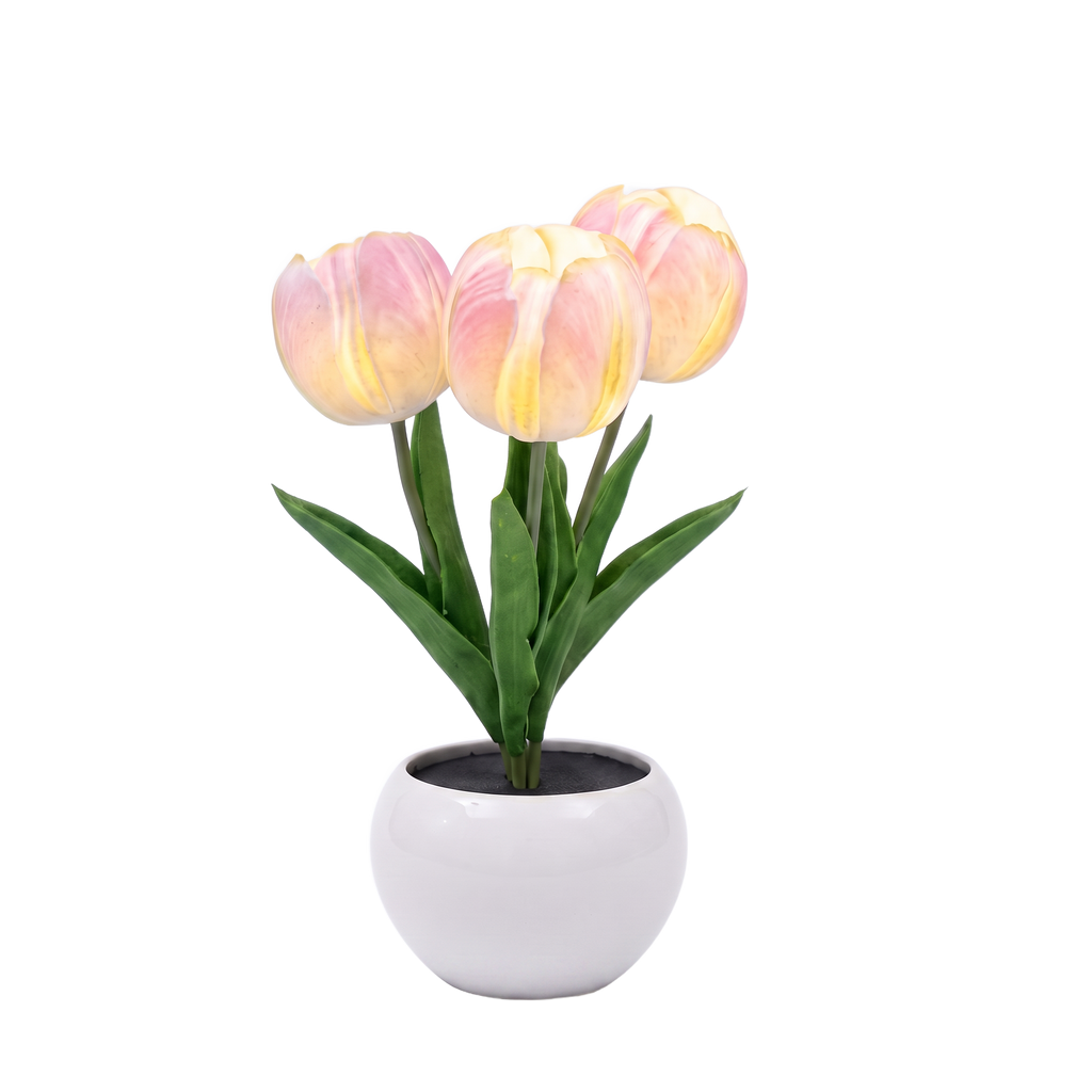 Ceramic tulip night light cutout on white