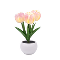 Ceramic tulip night light cutout on white