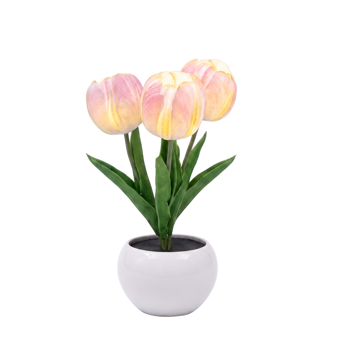 Ceramic tulip night light cutout on white